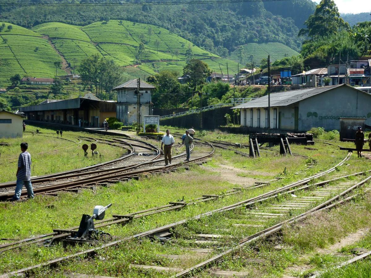 The Train View Acomodação com café da manhã Nuwara Eliya Exterior foto