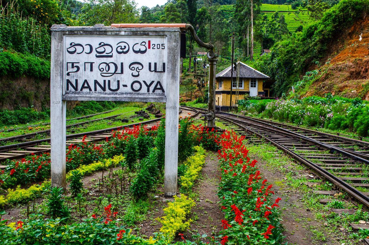 The Train View Acomodação com café da manhã Nuwara Eliya Exterior foto